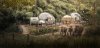 Anantara-Golden-Triangle-Elephant-Camp-and-Resort-Nptour.