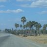 BLUE SKY